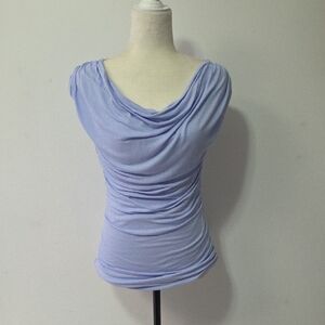 Express Periwinkle Ruched Blouse